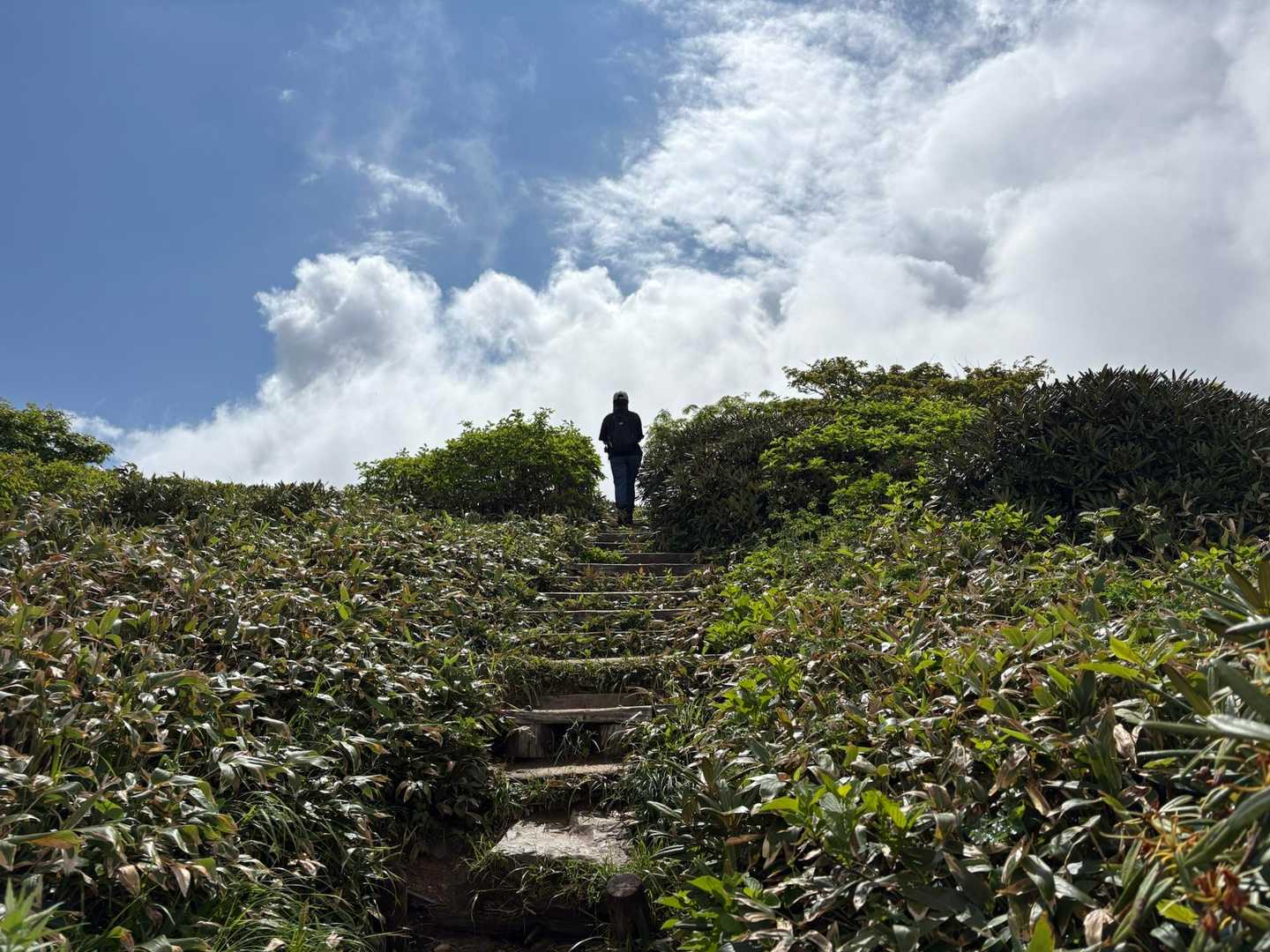 松手山-平標山-仙ノ倉山-平元新道 コースの写真