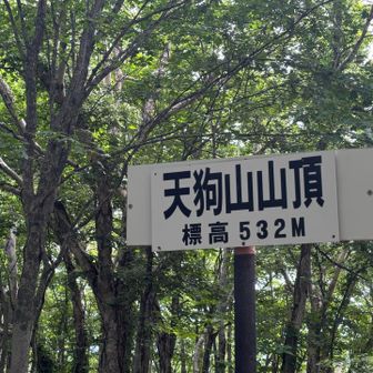 はいとうちゃーく‼︎