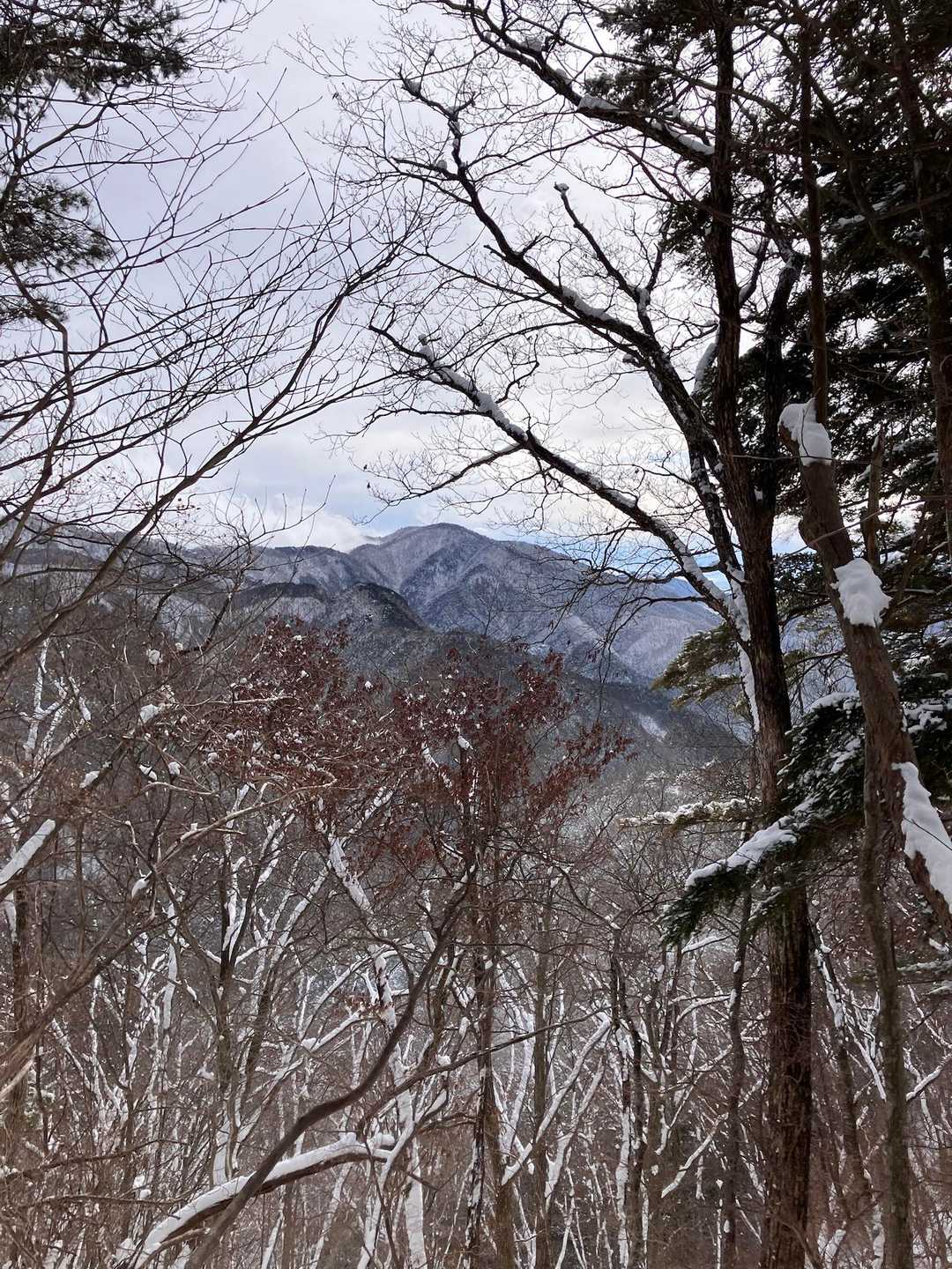 野峰