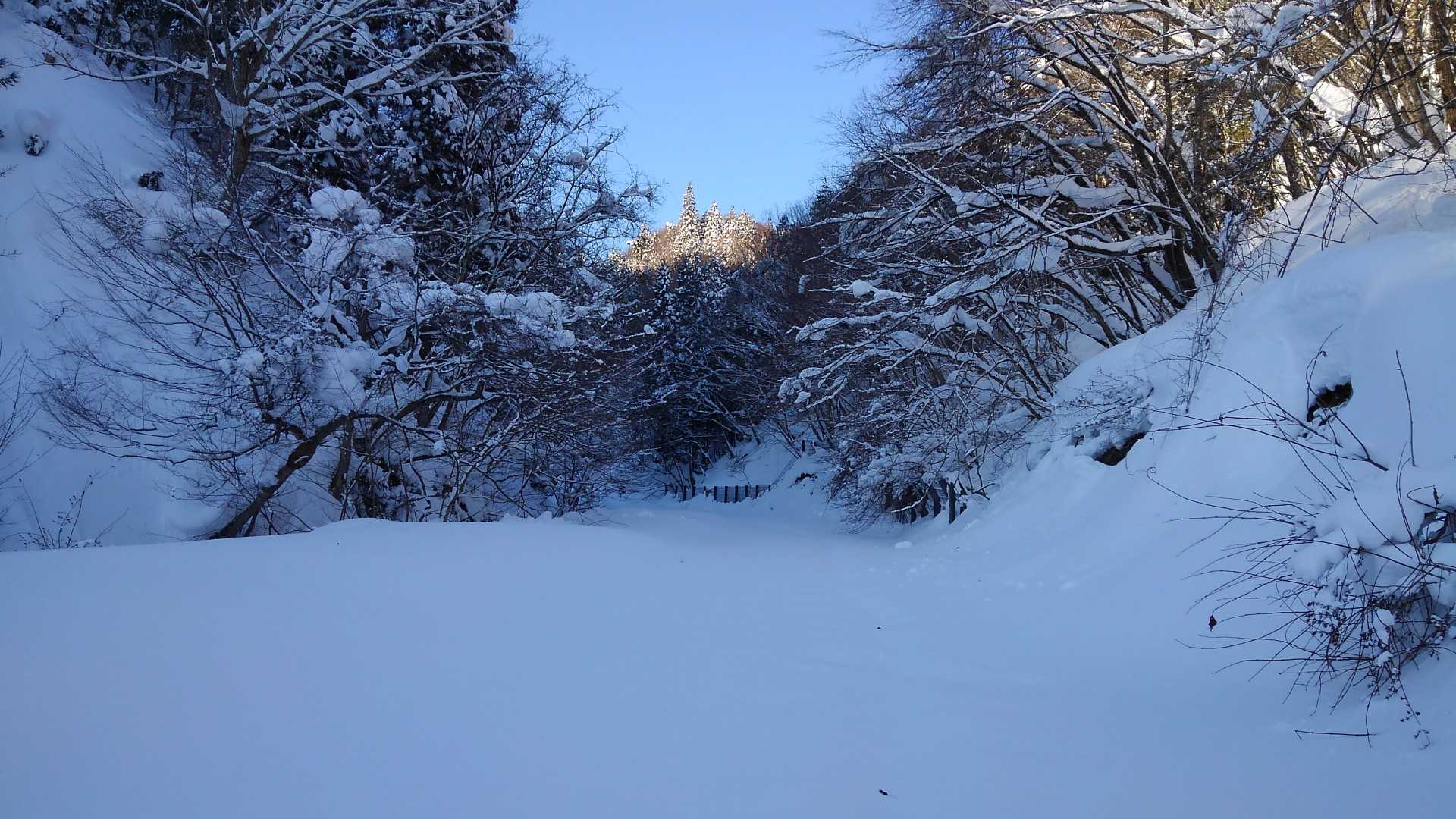積雪は、40～50cm
ふわふわ、さらさらです🎵