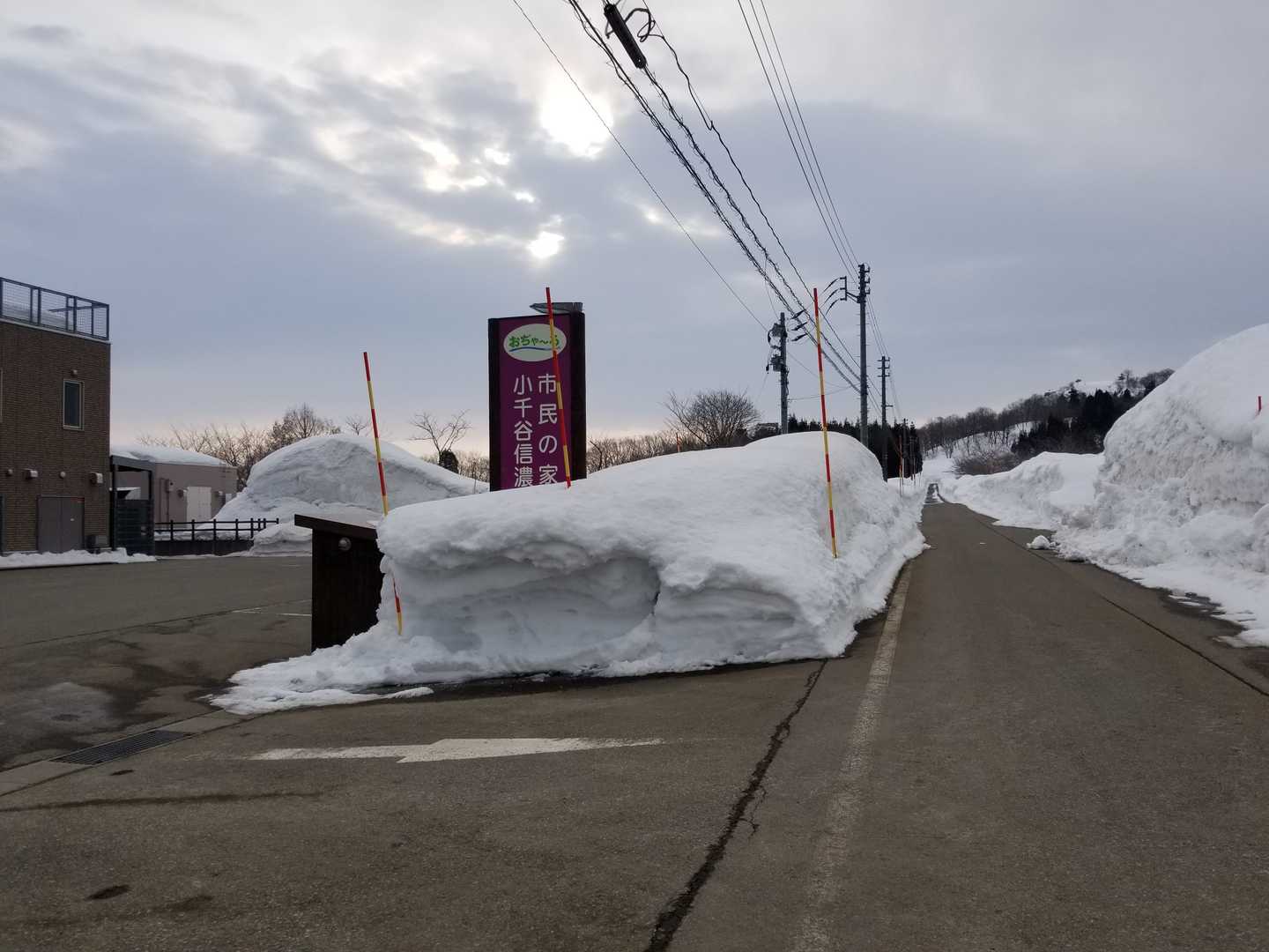 薄日の差すスタート