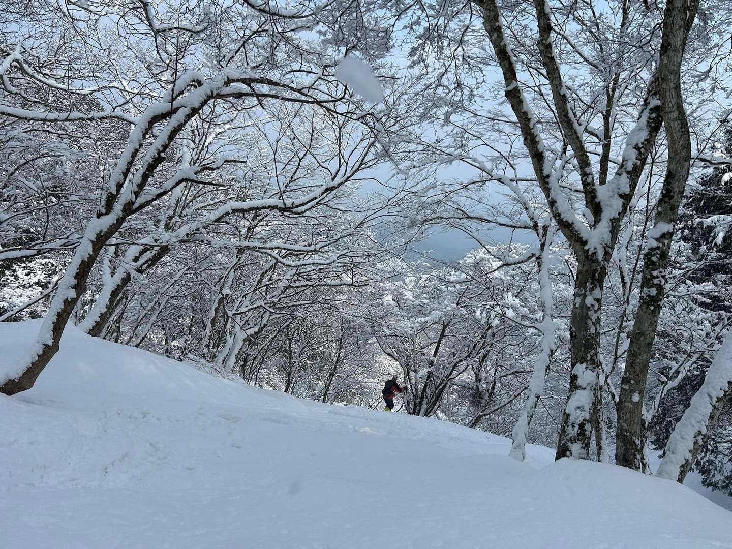 スキー場へ　今回は谷筋を選びました
阿闍梨師匠明日も来るそうです⛷️