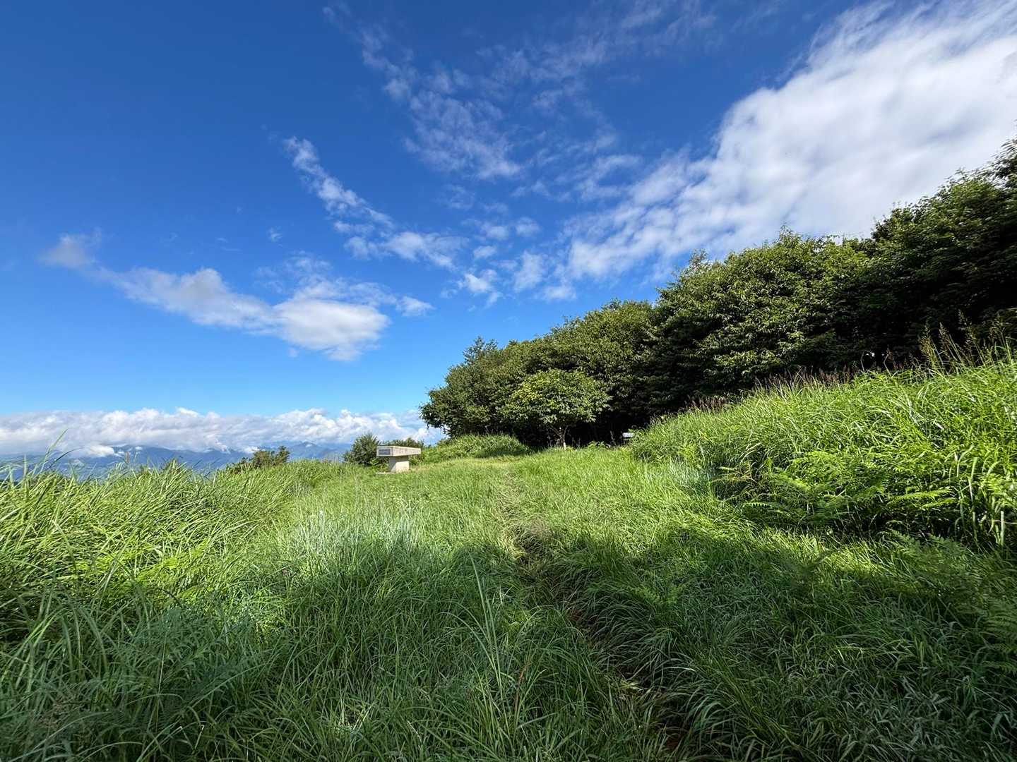 太郎山山頂。草が伸びている。