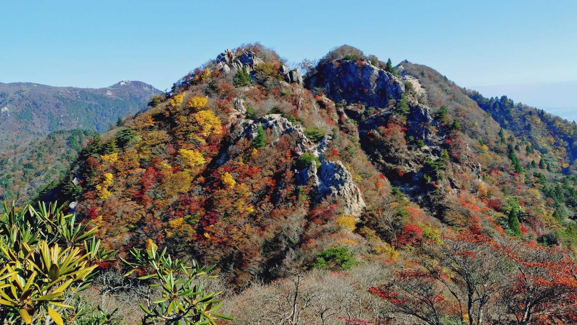 鎌ヶ岳登山口-水沢峠-水沢岳-鎌ヶ岳 周回コースの写真