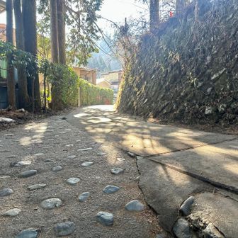 ケーブルカー組との合流地点に到着👏
下から50分、冬はやっぱり早い
夏場は途中でバテて+20分😅