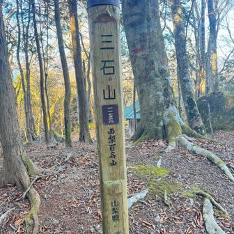 三石山、登頂🙌
展望とかはないので