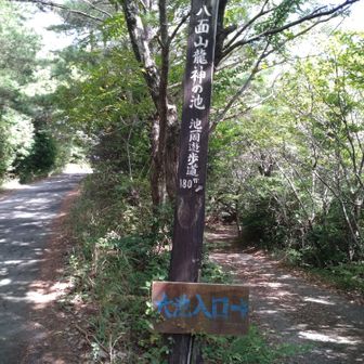右側から歩いて来ました。
ここから暫く舗装路です。