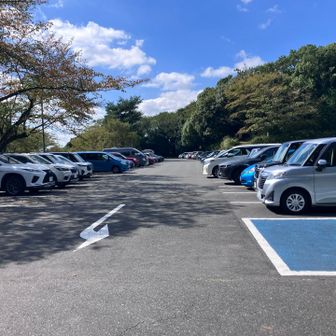帰る頃には駐車場もほぼ満車になってました。