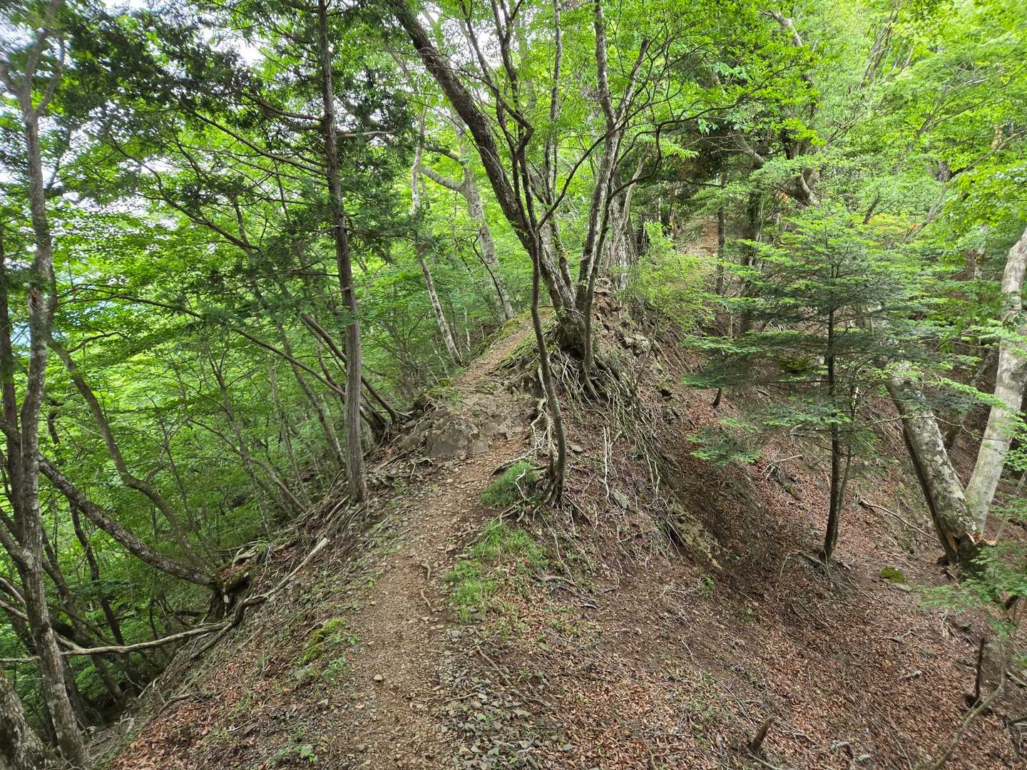 細尾根