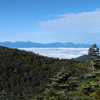 韮崎方面の雲海