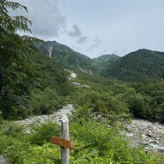 小池新道登山口に到着です。
さあ、後は林道を行きます。
雨大丈夫かなぁ…
