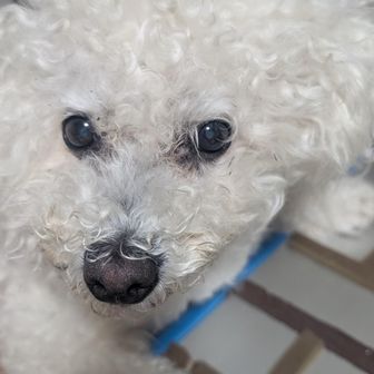 まーちゃん　（ヤマレコからデータ移行終了）