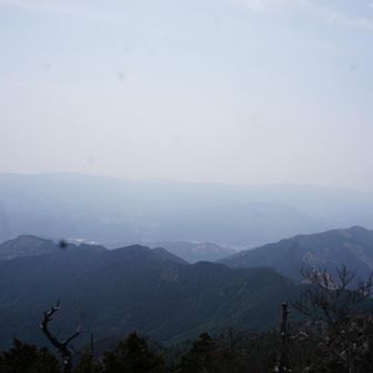 眺めながら
ランチタイムにコーヒー☕︎タイム