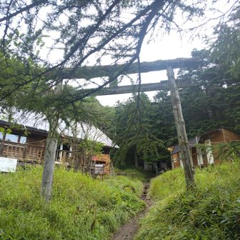 鳥居を潜り直して