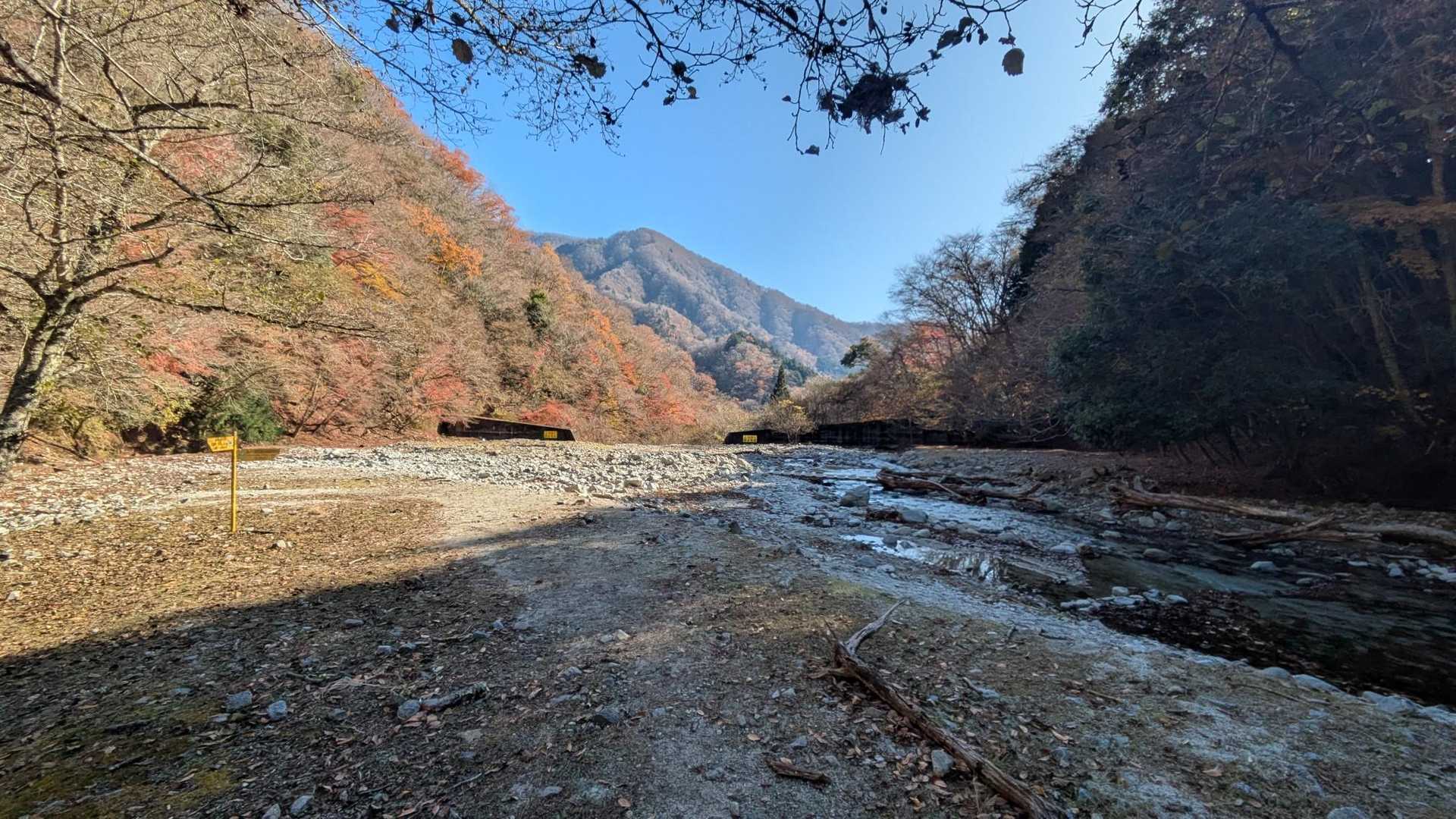 西沢出会い