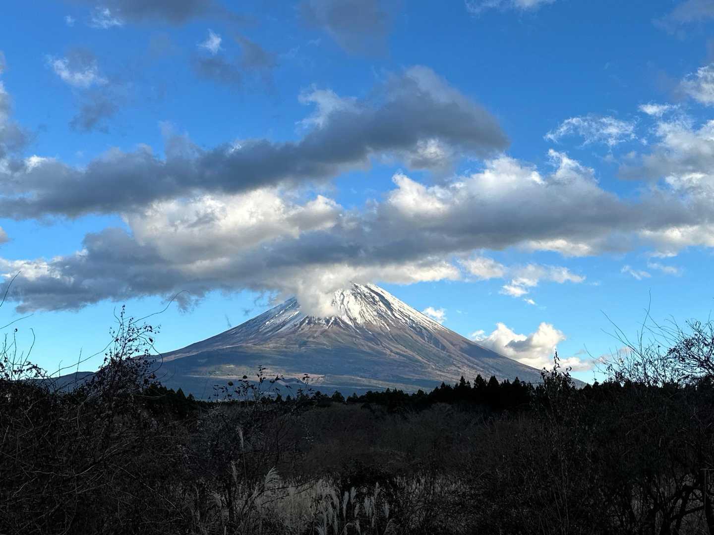 帰りの東海自然歩道からの🗻