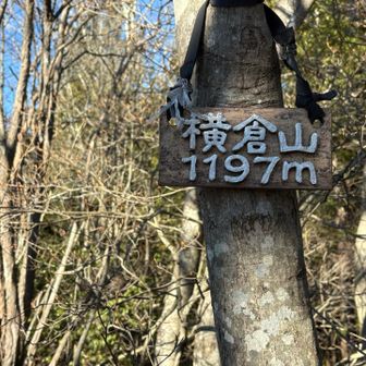 グレーピークもちゃんと取って👍