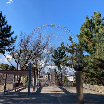 1,000円以下なら乗ってみるか…