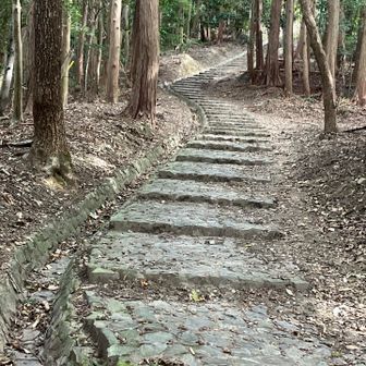 石段を下りて来た。
