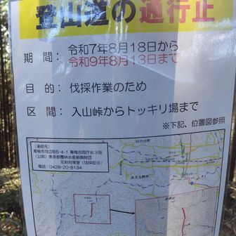 長期間の通行止め⛔ここを通るプランがあったので残念！