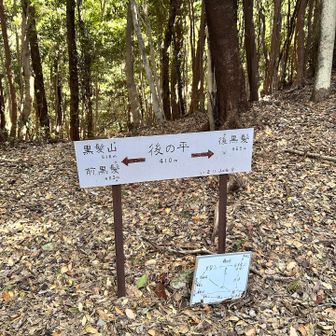 後の平から後ろ後黒髪へ向かうも
道が分からず戻る