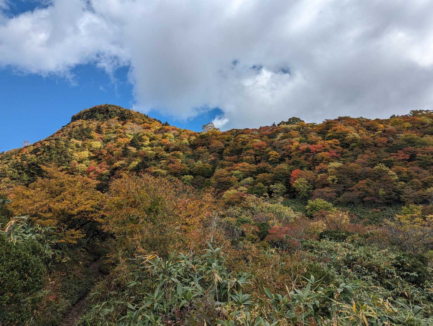 分岐近くですが、午後の方が日が当たって綺麗な紅葉が見れました！