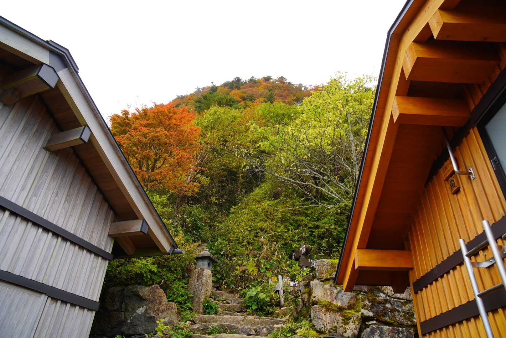 二の鎖小屋…お久しぶりに、かおさんと遭遇(#^^#)