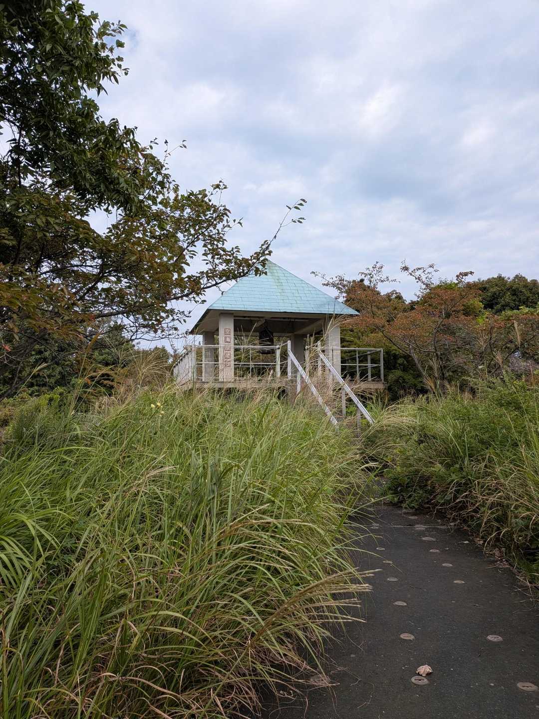 空海展台
