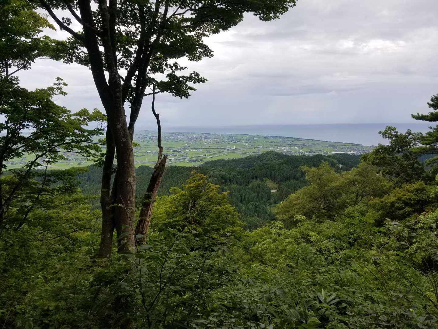 中部北陸自然歩道入口-横尾八幡社-馬鬣山-奥馬鬣山-南保富 往復コースの写真