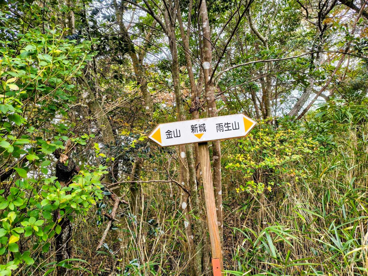 分岐到着！
後からまだ～？まだ～？の
連呼がはじまる🙄