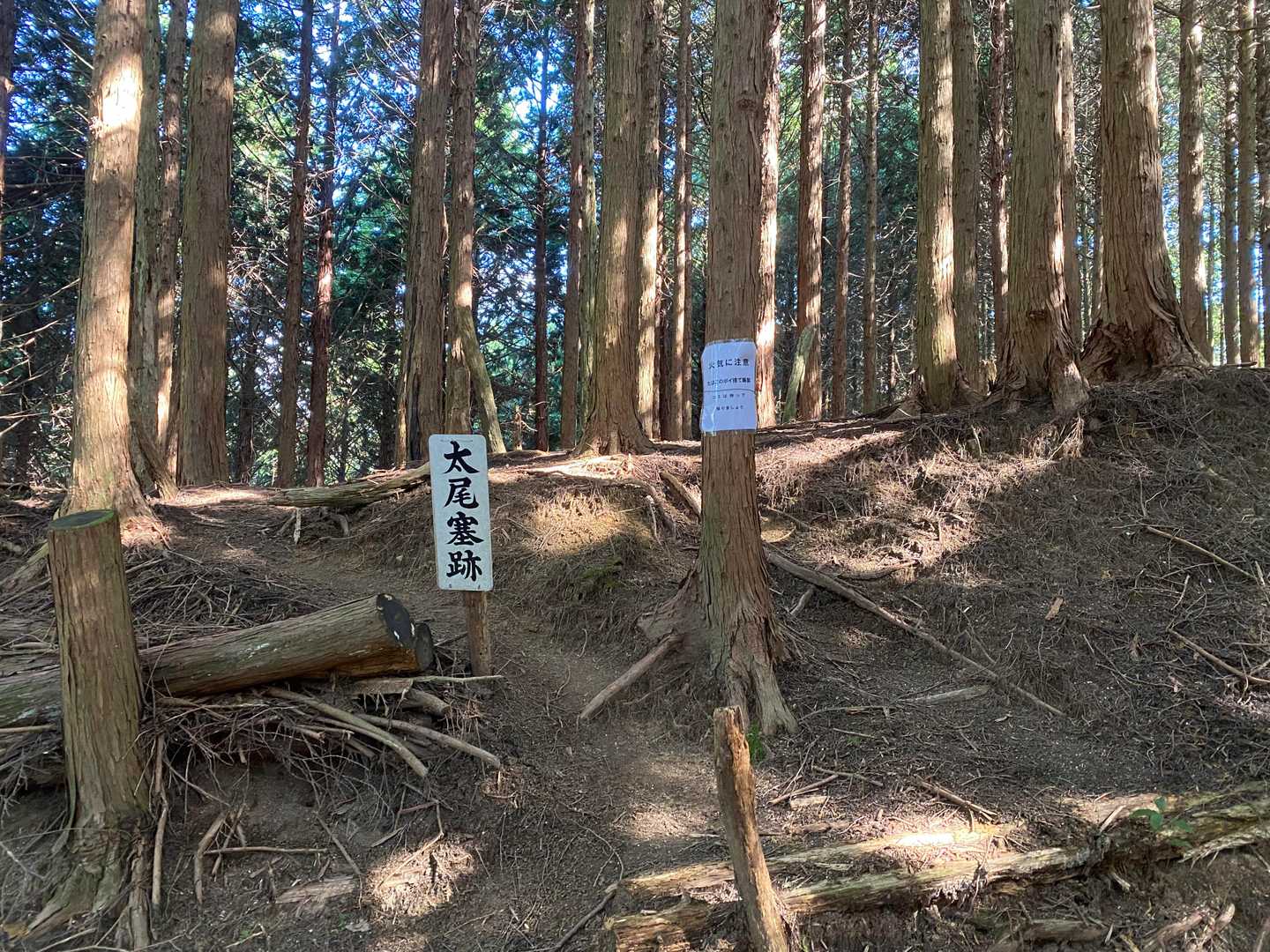 太尾塞跡