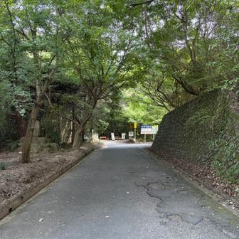 まだ通行止めなのね