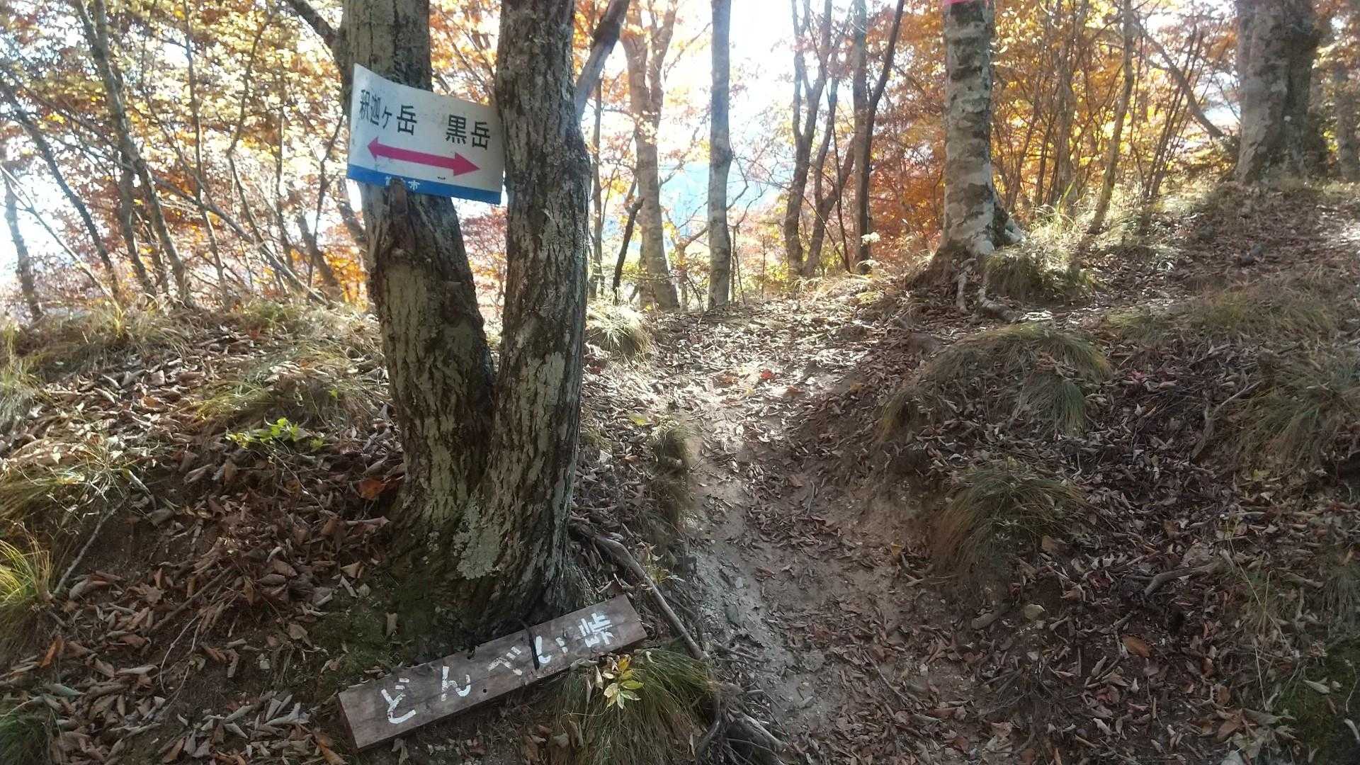 どんべい峠から黒岳へ。ここからの上りもきつかった。