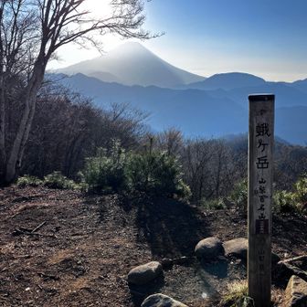 登りやすくて富士山を眺めるのに良い⛰️です。