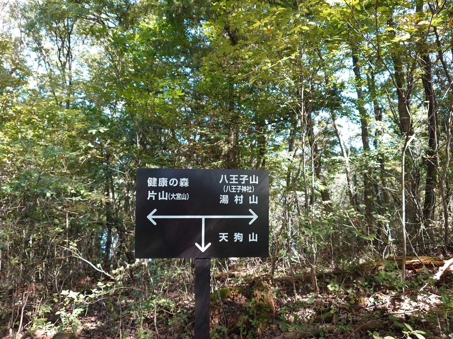 天狗山も気になるね(。-`ω´-)
関東最大級の積石塚古墳だって👀