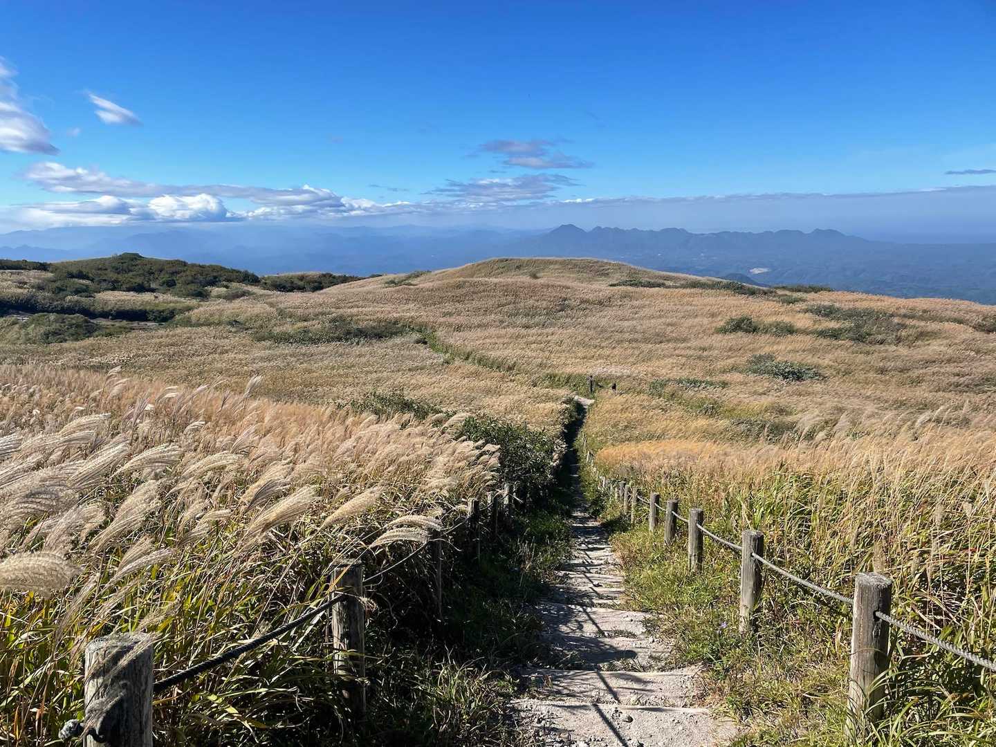 西の原登山口-男三瓶山 往復コースの写真