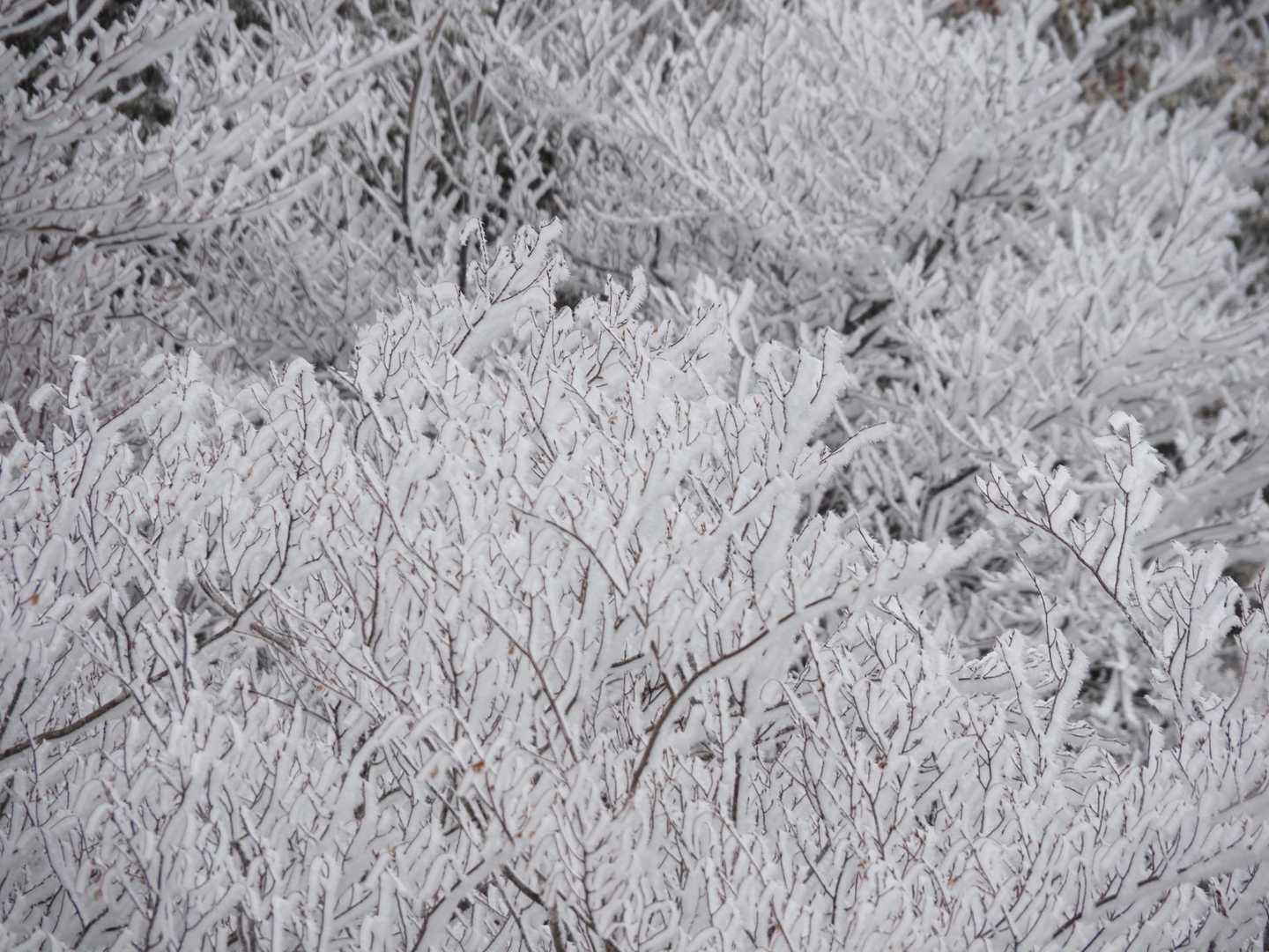 笠形山 周回コースの写真