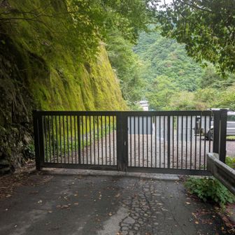 南アルプス街道トンネル前のスタッフに土砂崩れの件を聞きましたが、バスは運行しているそうです。
土砂崩れ箇所については9/24から夜間復旧工事するそうです🦺