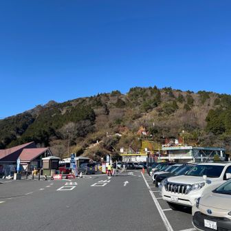 かなり賑わっていました