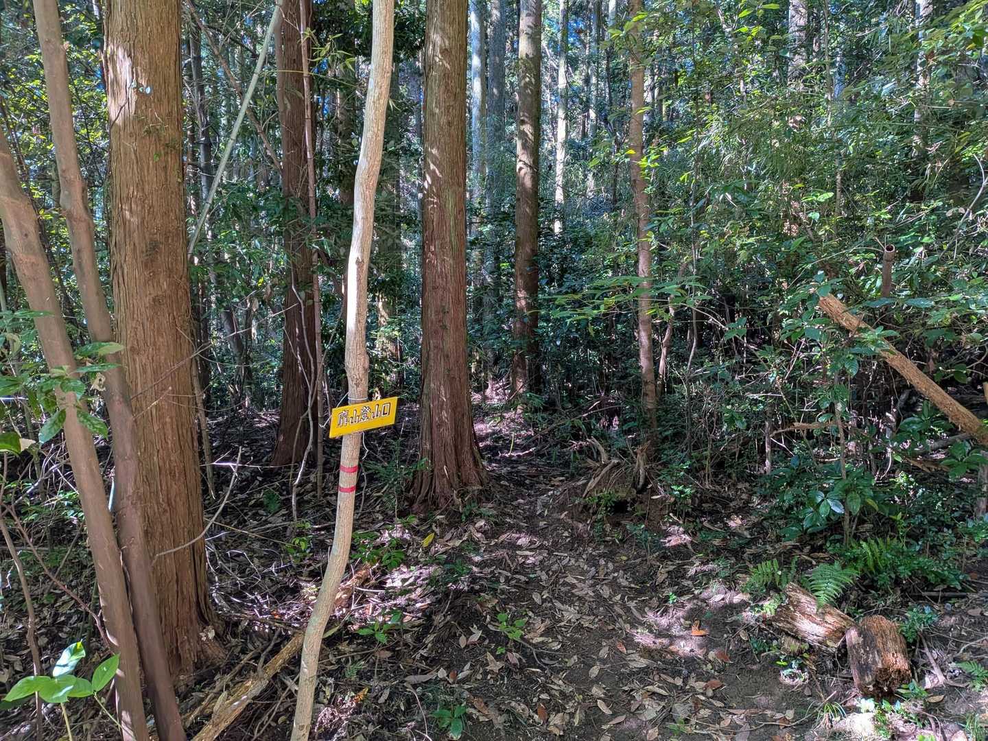 ここから入るよ

見落とさないように
♡⁠(⁠>⁠ ⁠ਊ⁠ ⁠<⁠)⁠♡