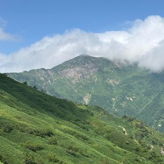 最後の別山遠望です。最後まで顔を見せてくれませんでした。