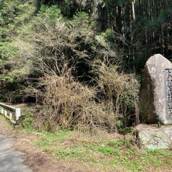 無事に帰って来ました。
ありがとうございました😊