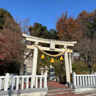 宇賀神社に降りてきました
さぁ、おばあちゃんを探すぞー🦅