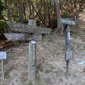 安楽峠に降りてきました