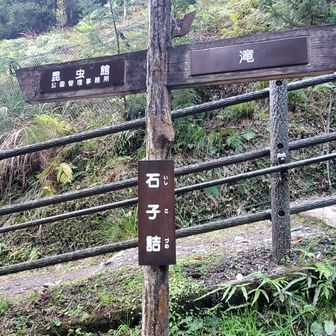 大滝を後にしてここから箕面山を目指します
