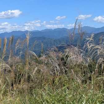 秋の風に乗って🌾笑顔ごと涙ごと気持ちごと🌾愛する人を迎えにいこう🌾