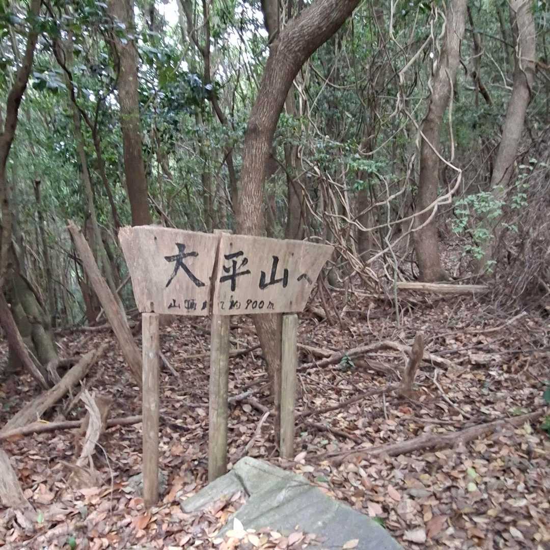 先日
此処でリタイア💦