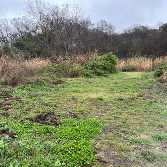 お姉様に教えてもらった草原‼️癒し✨