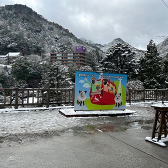 カメラ台が有ります。