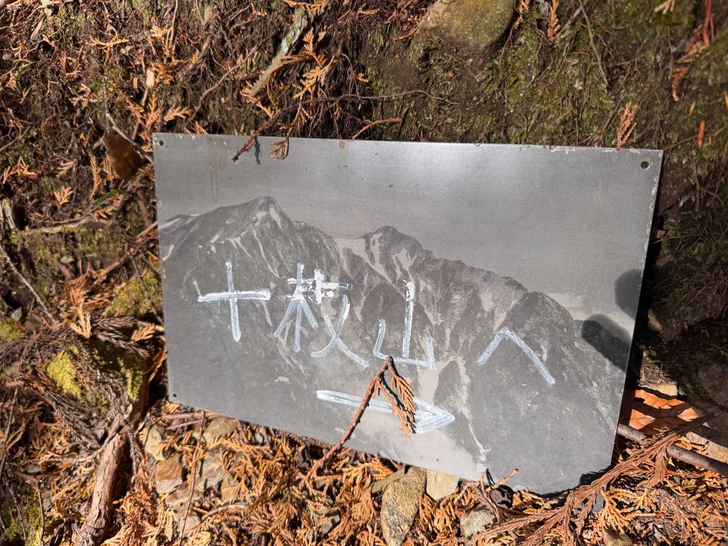 なんか、おされ。